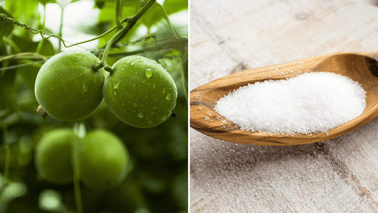 Natural vs. Artificial Sweeteners: What's the Difference? - GURU Beverage