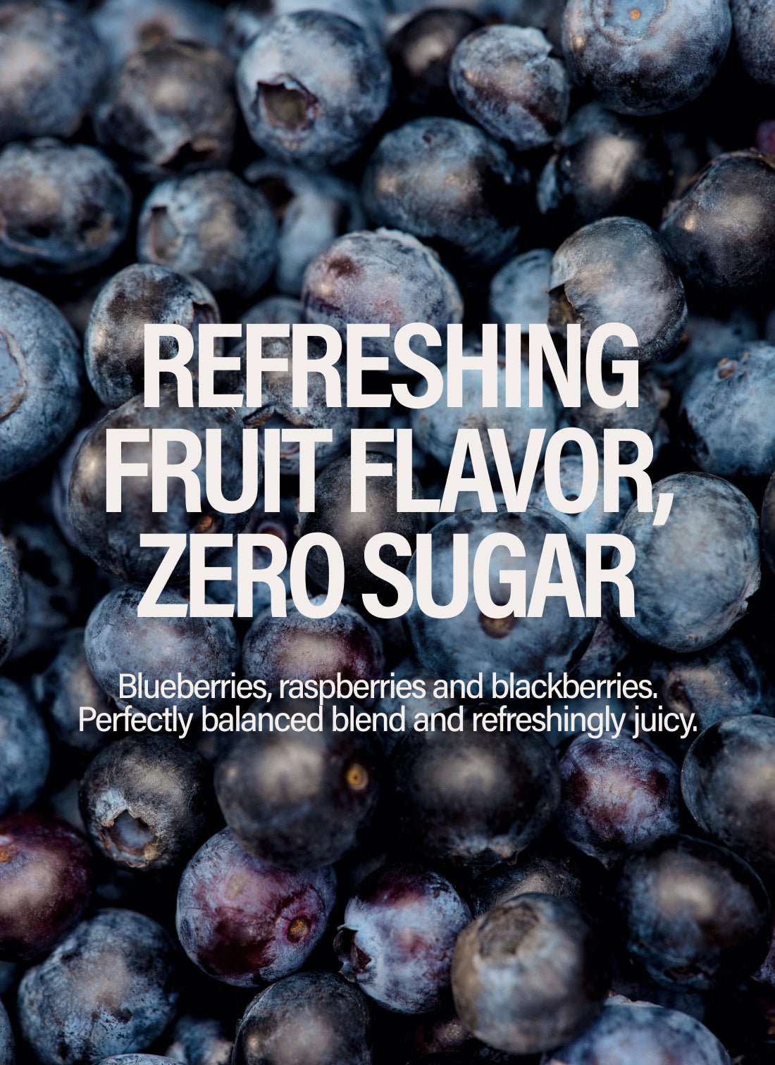 Wild Berry - GURU Beverage